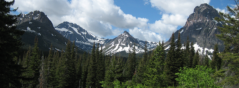 Mountains and trees in Glacier National Park